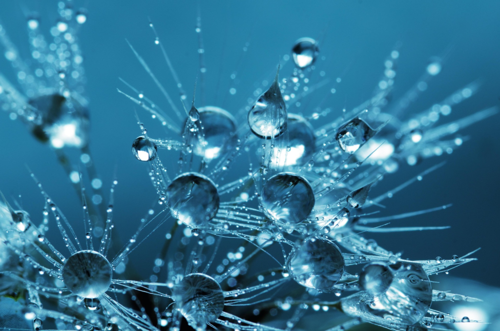 water droplets by inspired images